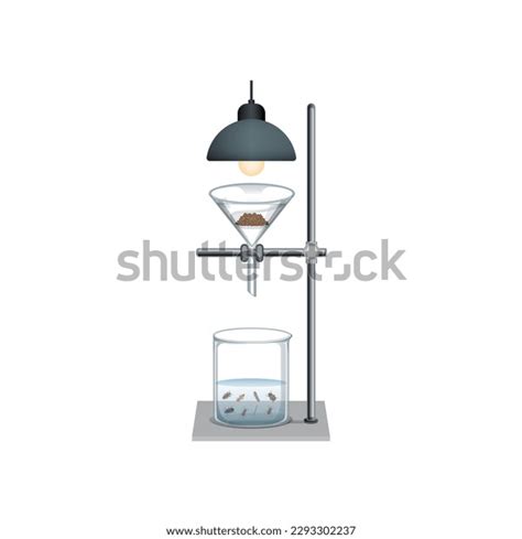 Scientific Designing Berlese Funnel Experiment Vector Stock Vector ...