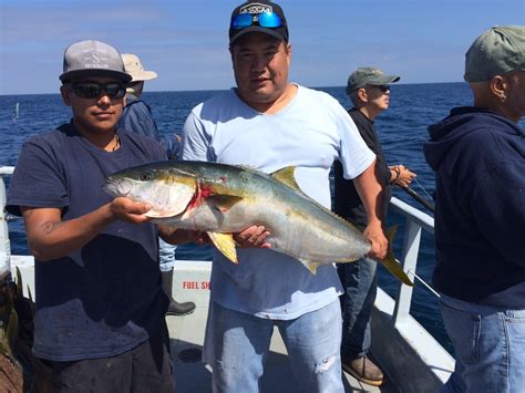 Redondo Beach Sportfishing Fish Counts