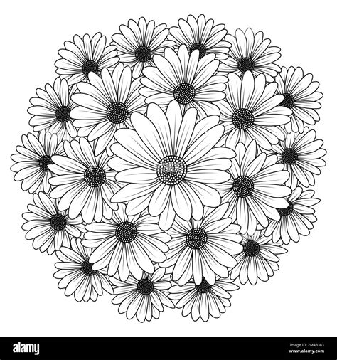 How To Draw A Daisy Flower Helloartsy - vrogue.co
