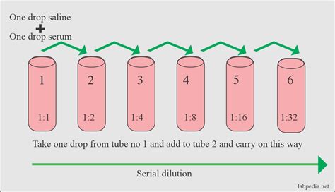 Chapter 31: Common serological test, Antistreptolysin O (ASO), C ...