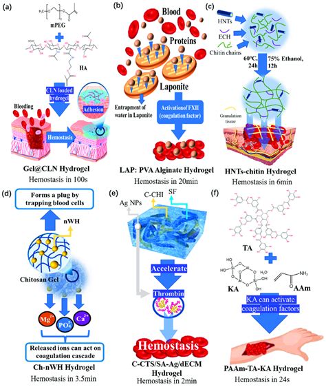 (a) Schematic diagram of the cross-linking process, hemostasis ...