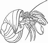 Crab Coloring Pages sketch template