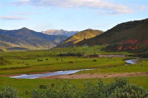 Valley landscape stock photo. Image of prairies, grass - 15558816