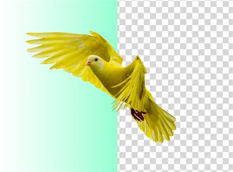 Premium PSD | A yellow bird flying with its wings spread out.