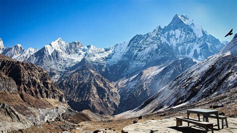 Annapurna Sanctuary Mountain Culture - 16 Days | Alpine club of himalaya