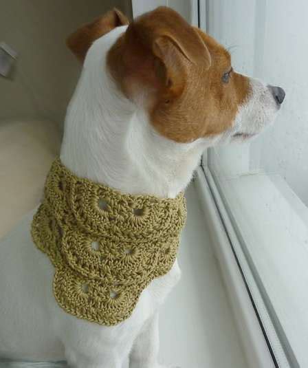 Crocheted Canine Collars | Dog training collar, House training dogs, Basic dog training