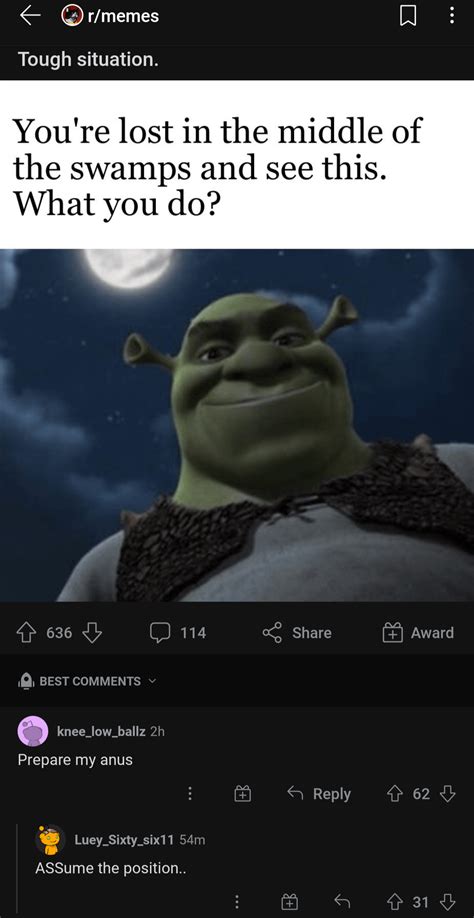 cursed_Shrek : r/cursedcomments