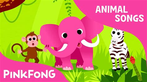 pinkfong dvd Animals, Animals | Animal Songs | PINKFONG Songs for Children - producer24