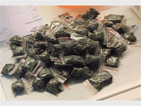 Joint operation leads to recovering of dagga | Alberton Record