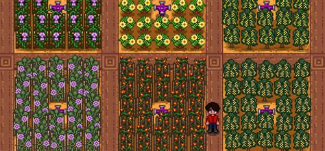 Top 5 Most Profitable Crops for the Greenhouse (Stardew Valley ...