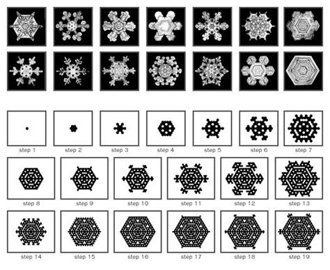 Comparison between examples of typical snowflakes patterns (top images ...