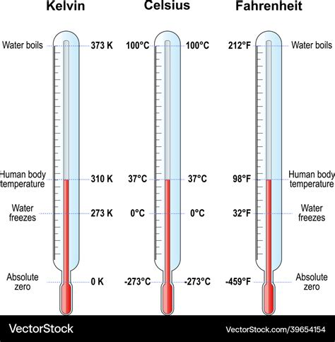 Temperature scales celsius fahrenheit and kelvin Vector Image