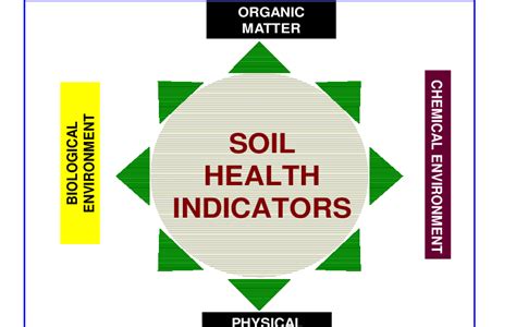 ndicators of Soil Health | Download Scientific Diagram