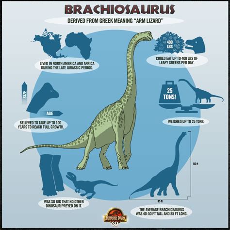 Jurassic Park 3D Dino Chart - Brachiosaurus (Classic Jurassic Park Image Gallery)