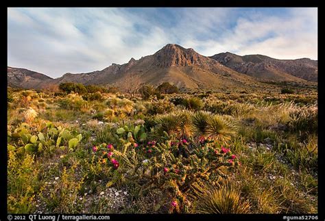 » Guadalupe Peak Summit trail - from QT Luong's Blog