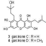 Structure of xanthones isolated from the fruit of G. mangostana ...