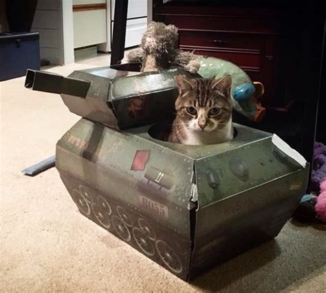 Cats In Cardboard Tanks (21 pics)