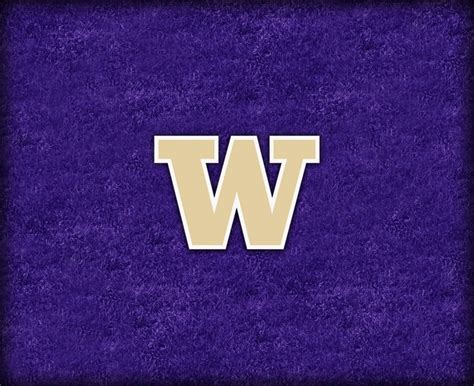 🔥 [50+] UW Husky Wallpapers | WallpaperSafari