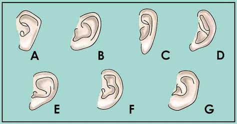 face-reading-ears | मनाचेTalks