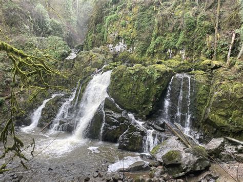 Day Hike - Little Mashel Falls — The Mountaineers