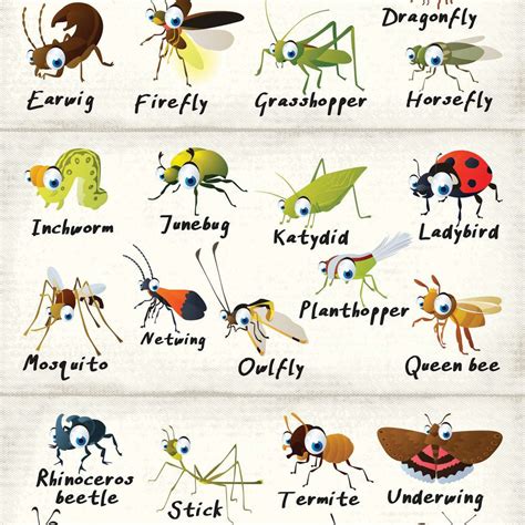 Insects Alphabet Chart Wall Art | Digital Art