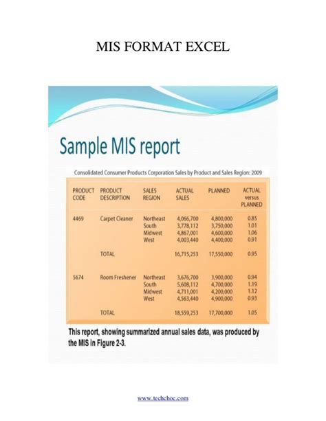 Mis report format