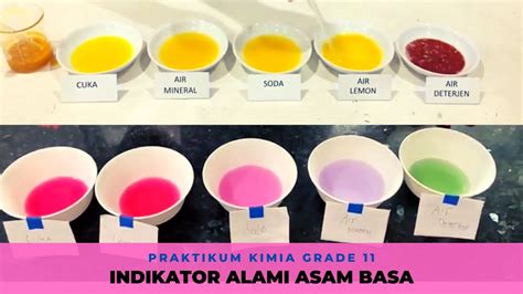 Laporan Praktikum Asam Basa Menggunakan Indikator Alami - Homecare24