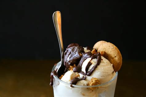 vanilla gelato with dark chocolate-ginger ganache & crushed gingersnaps - Climbing Grier Mountain