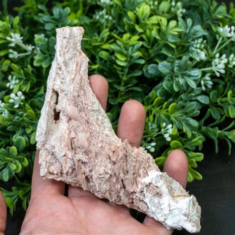 Fulgurite Meanings and Crystal Properties - The Crystal Council