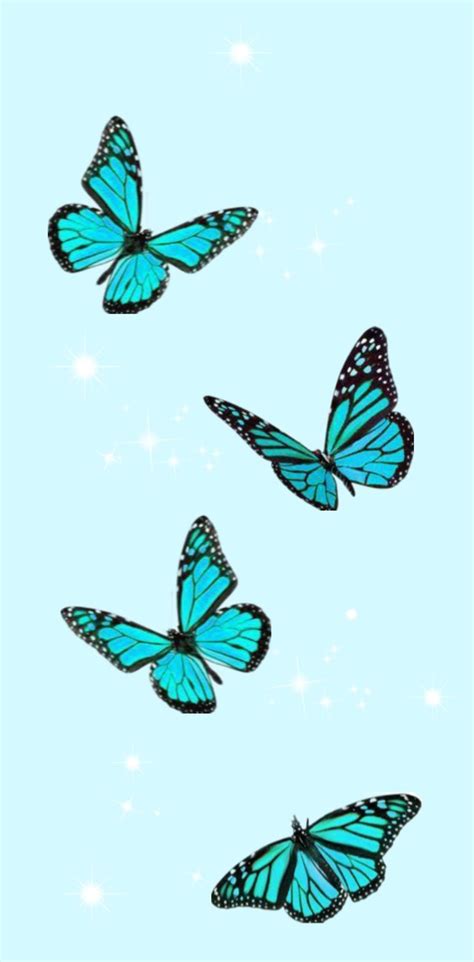 cute butterfly wallpaper ☆ | Butterfly wallpaper, Iphone background wallpaper, Wallpaper