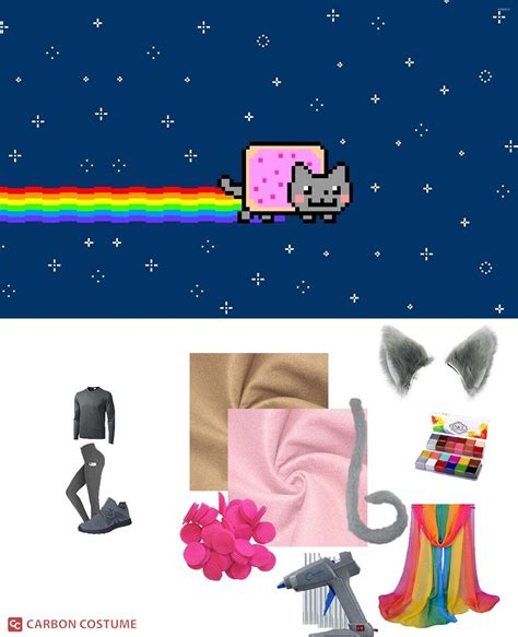 Nyan Cat Costume | Carbon Costume | DIY Dress-Up Guides for Cosplay & Halloween