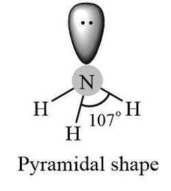 Draw the molecular shape of NH3 and indicate which orbitals overlap with each other to form the ...