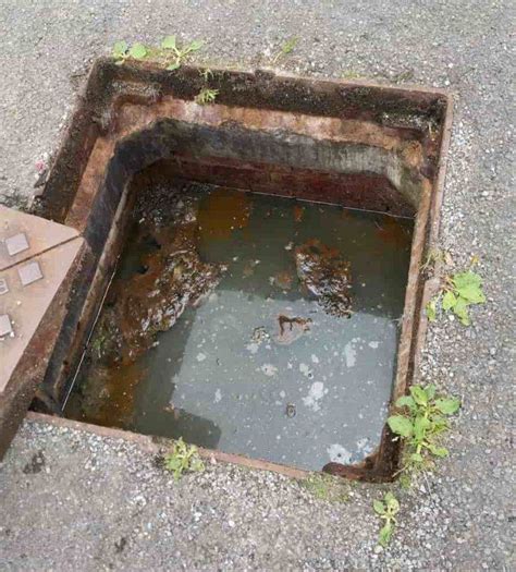 Blocked Drains | Signs That There Is A Blockage