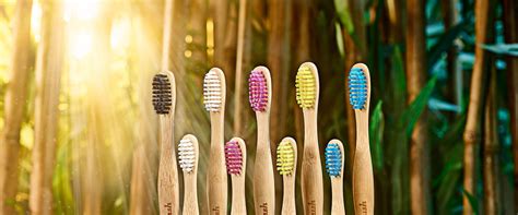 Best Bamboo Toothbrushes for a Happy Mouth & Happy Planet