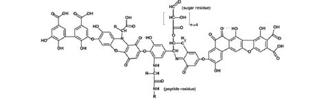 Stevenson's model of humic acid. | Download Scientific Diagram