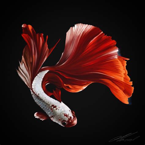 Betta Fish Drawing on my iPad. : r/drawing