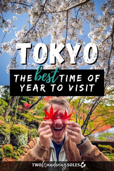 Best Time to Visit Tokyo: When to Go & When to Avoid | Two Wandering Soles