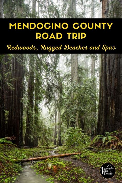 Mendocino County Road Trip: Redwoods, Rugged Beaches, and Spas | Mendocino county, Road trip, Trip