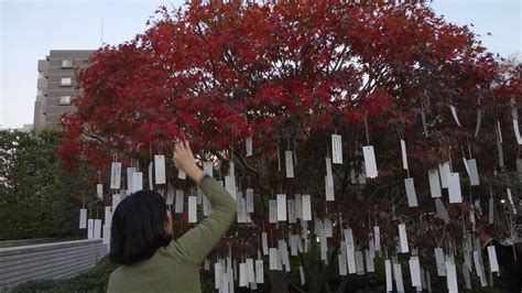 Yoko Ono 'Wish Tree for Tokyo' planted in museum's sculpture garden