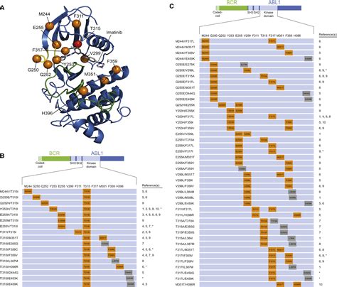 BCR-ABL1 Compound Mutations Combining Key Kinase Domain Positions Confer Clinical Resistance to ...