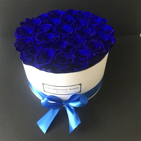 Pin by Malayia Sadíe on Blue Roses / Rosas Azules | Beautiful rose flowers, Blue roses ...