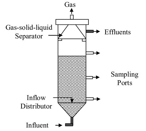 Schematic diagram of the UASB reactor | Download Scientific Diagram