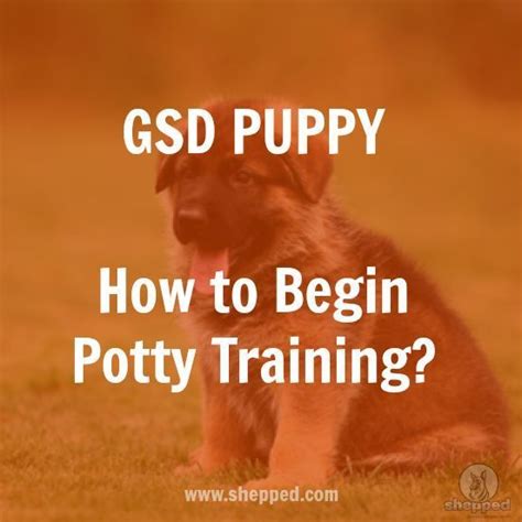 How to begin potty training? German Shepherd Puppy - #germanshepherd #gsd | Gsd puppies ...