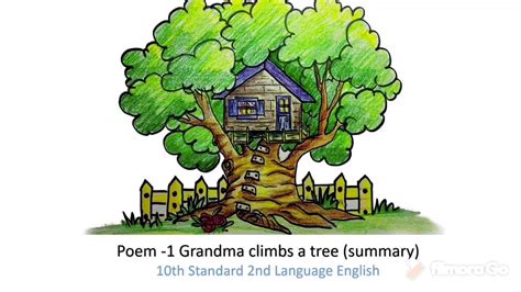 Grandma Climbs a tree - YouTube