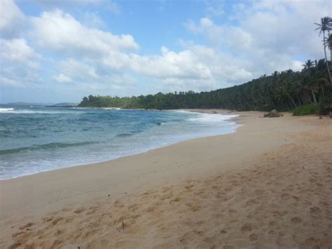 Secret paradise in tiny village - Silent Beach, Tangalle Traveller ...