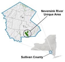 Neversink River Unique Area - NYS Dept. of Environmental Conservation