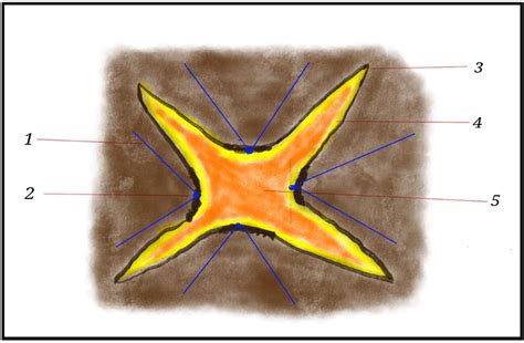 Four flaps, 1 -3 o PDS suture material, 2 -an anchoring knot was placed... | Download Scientific ...