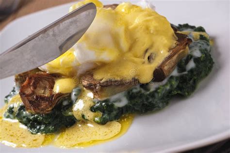 New orleans eggs sardou stock photo. Image of yolk, poached - 178600462