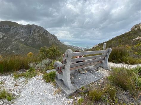 Fernkloof Nature Reserve (Hermanus) - 2020 All You Need to Know Before ...