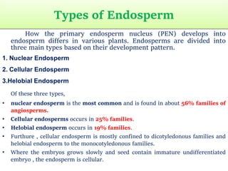 ENDOSPERM.pptx